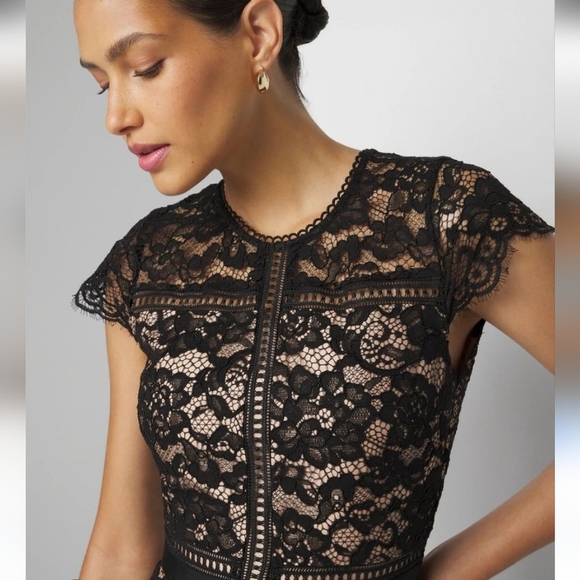 WHBM Cap Sleeve All Over Lace Godet Fit N Flare Dress Cocktail Party Black - Picture 2 of 11